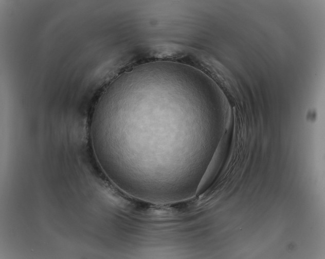 X0000091460510200708161525