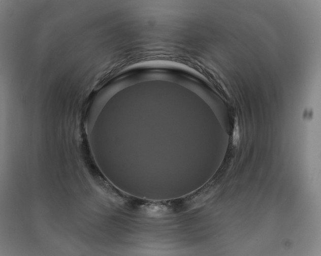 X0000091460512200708161525
