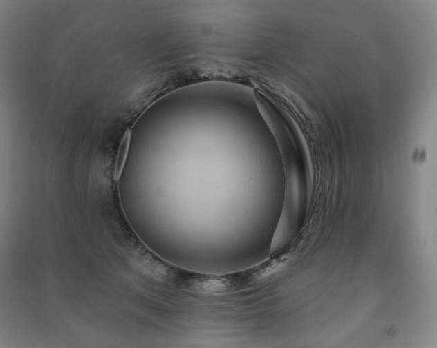 X0000091460513200708161525