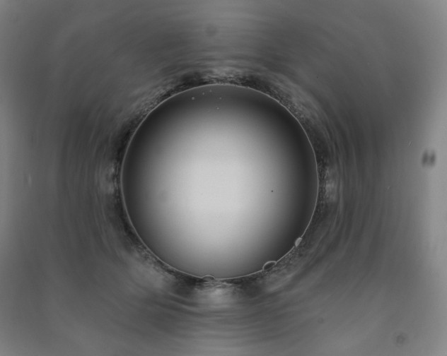 X0000091460514200708161525