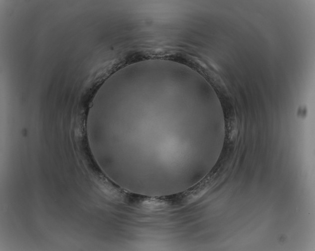 X0000091460515200708161525