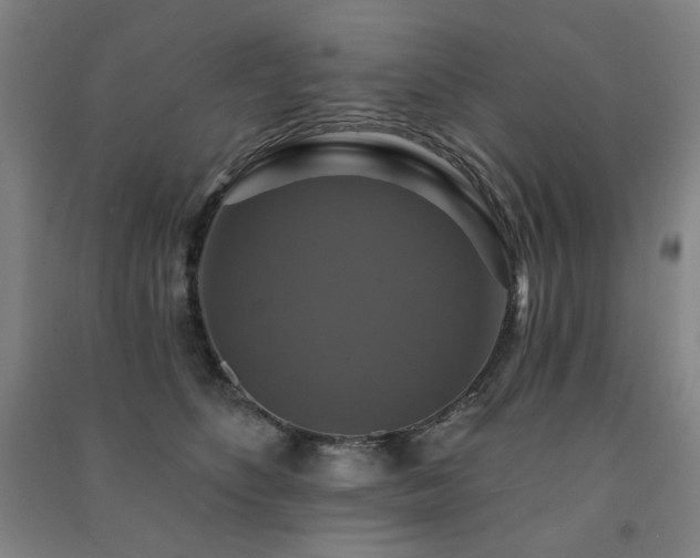 X0000091460516200708161525