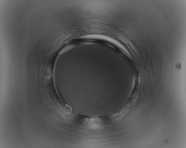X0000091460517200708161525