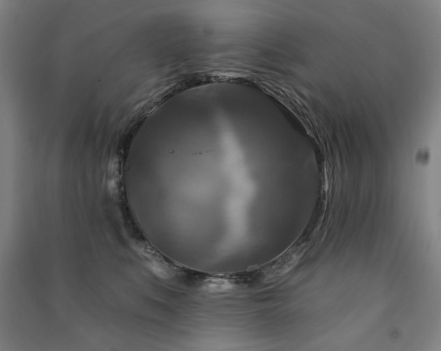 X0000091460519200708161525