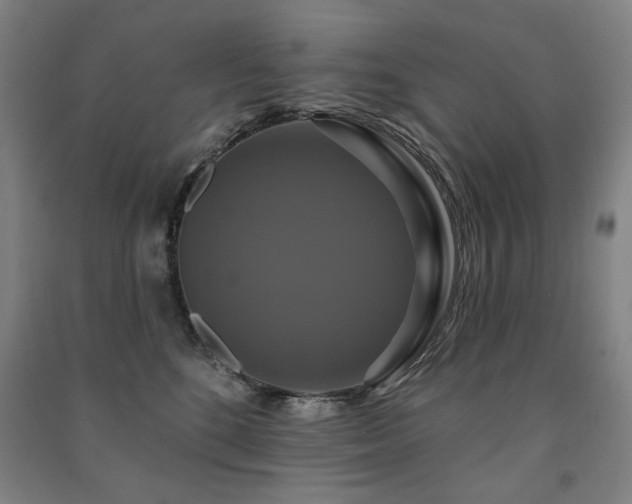 X0000091460520200708161525