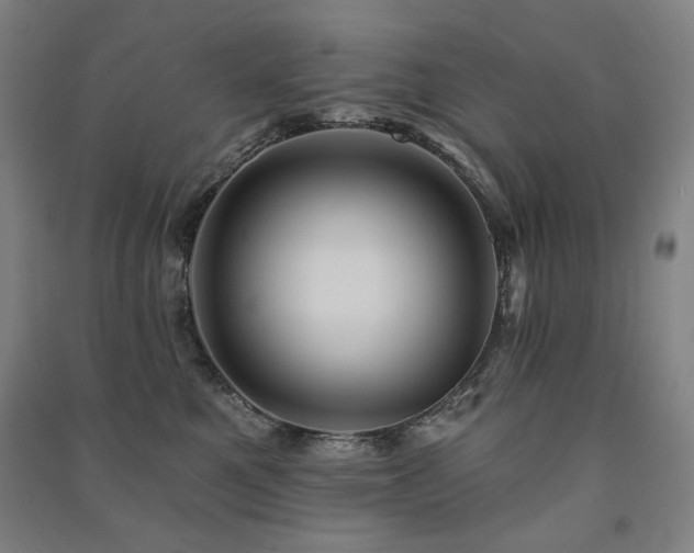 X0000091460521200708161525
