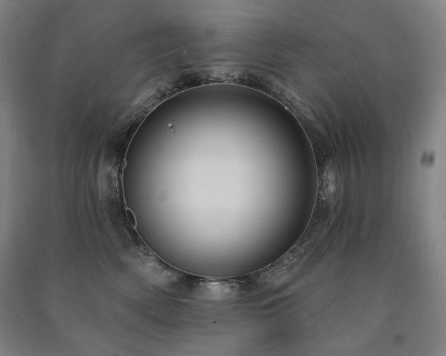 X0000091460522200708161525