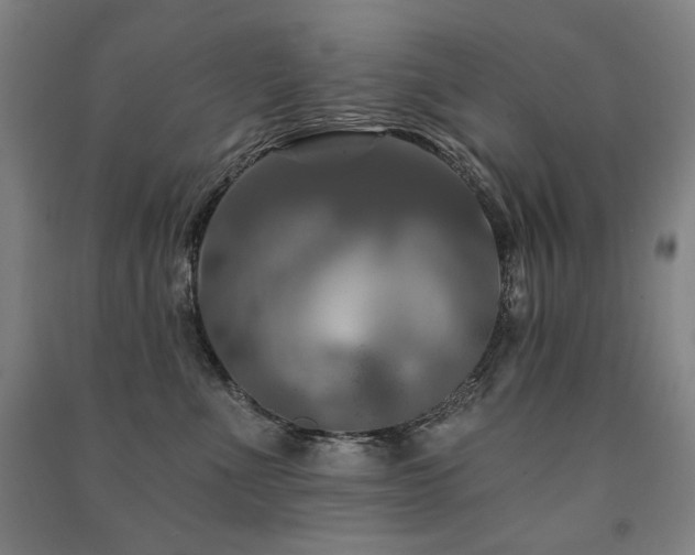 X0000091460523200708161525