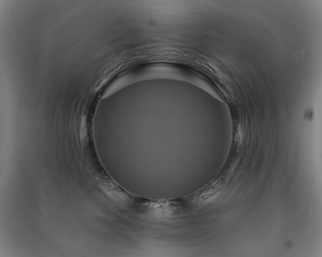 X0000091460524200708161525
