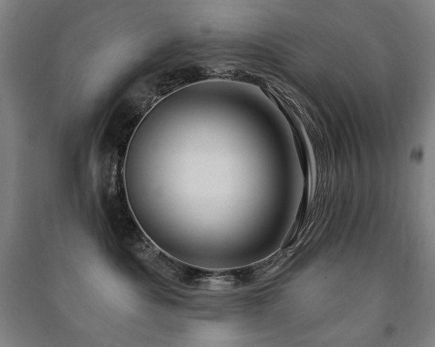 X0000091460525200708161525