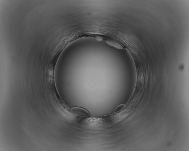 X0000091460526200708161525
