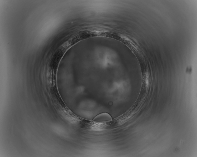 X0000091460527200708161525