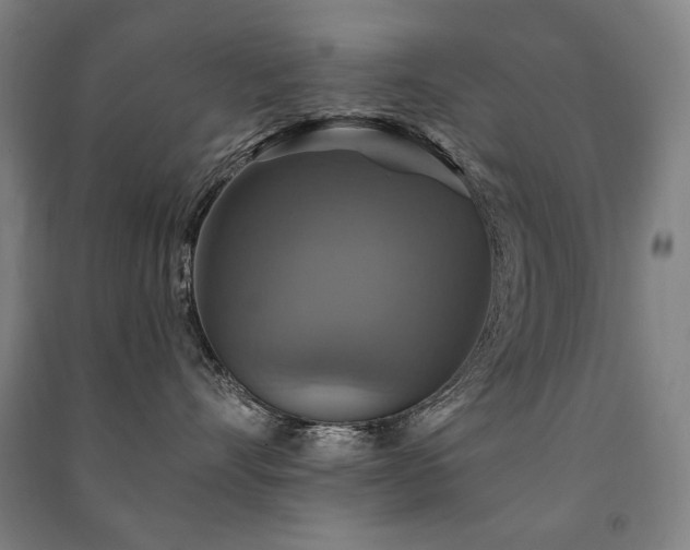 X0000091460528200708161525