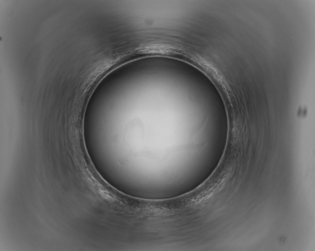 X0000091460529200708161524