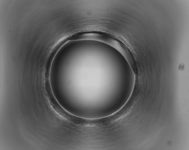X0000091460530200708161524