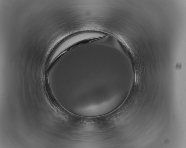 X0000091460531200708161524