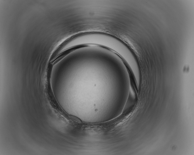 X0000091460532200708161524