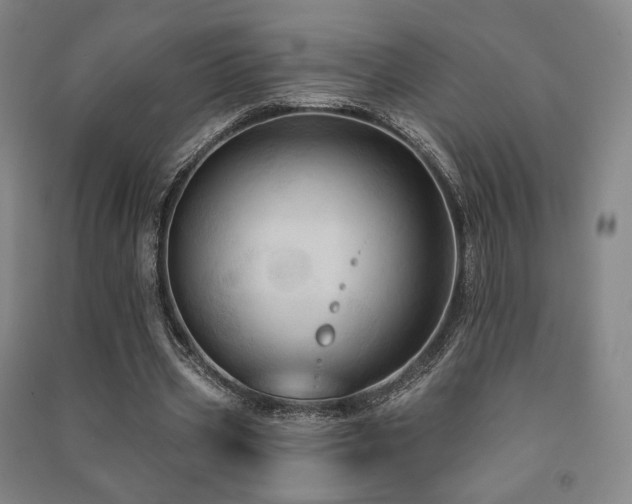 X0000091460533200708161524