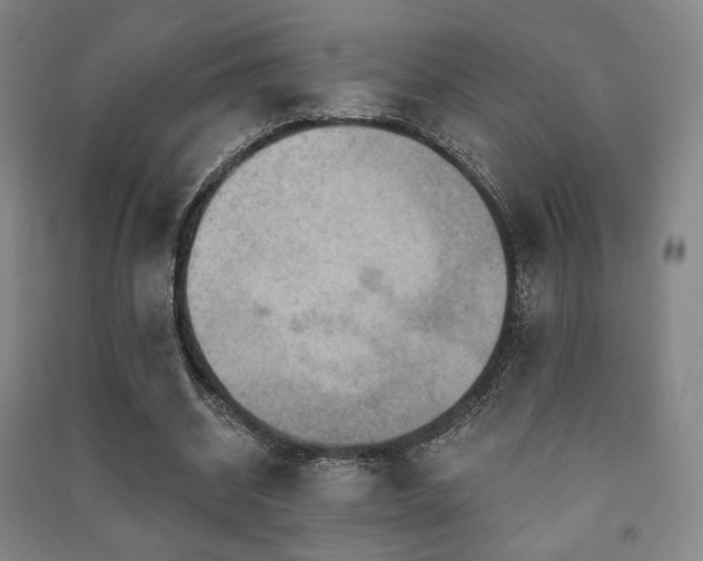 X0000091460534200708161524