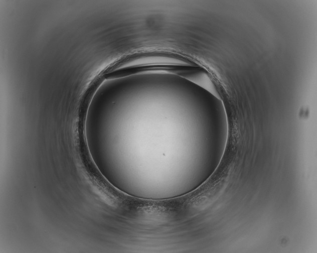 X0000091460535200708161524