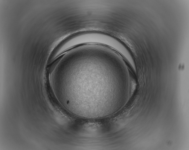 X0000091460536200708161524
