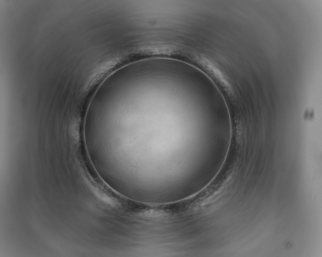 X0000091460537200708161524