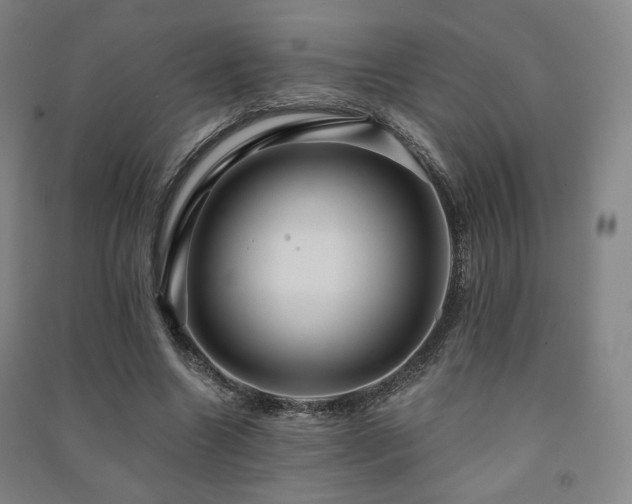 X0000091460538200708161524