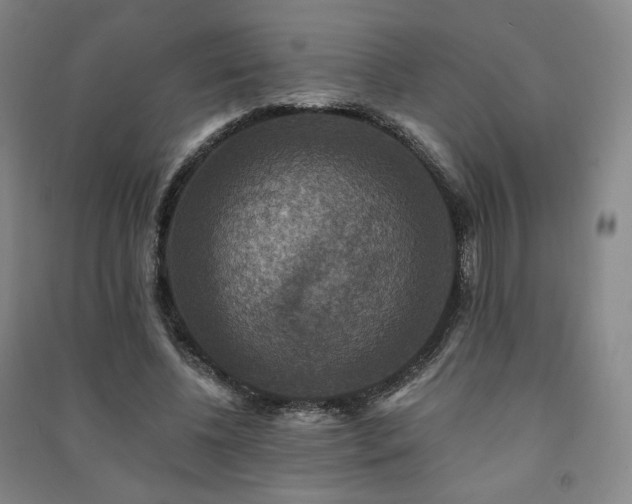 X0000091460540200708161524