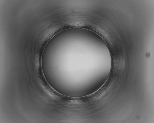 X0000091460541200708161524