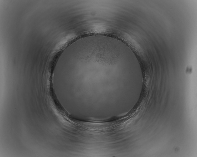 X0000091460542200708161524