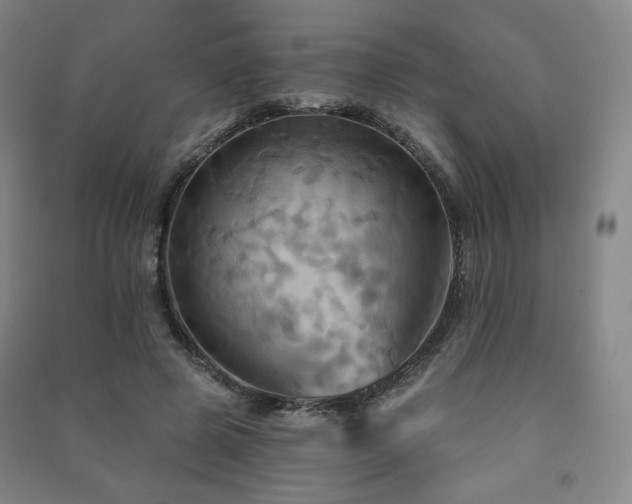 X0000091460545200708161524
