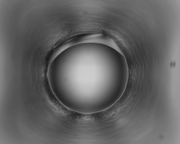 X0000091460546200708161524