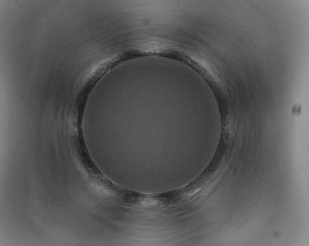 X0000091460547200708161524