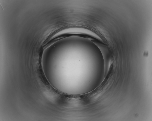 X0000091460548200708161524