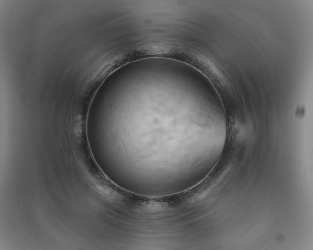 X0000091460549200708161524