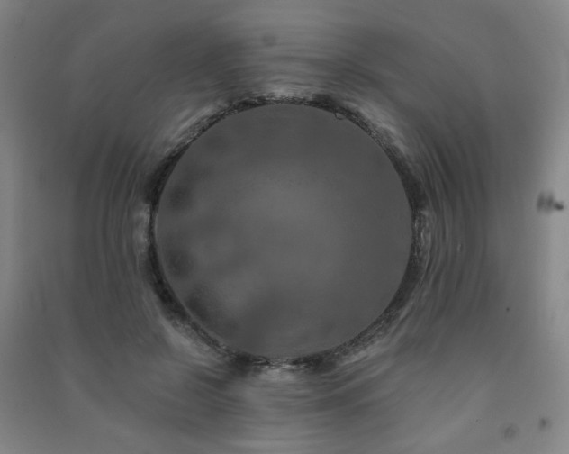X0000091460550200708161524