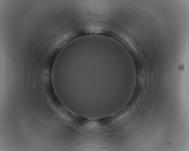 X0000091460551200708161524