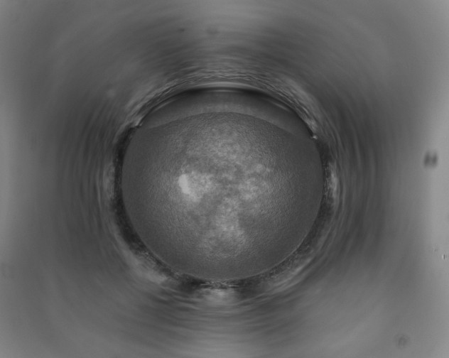 X0000091460552200708161524