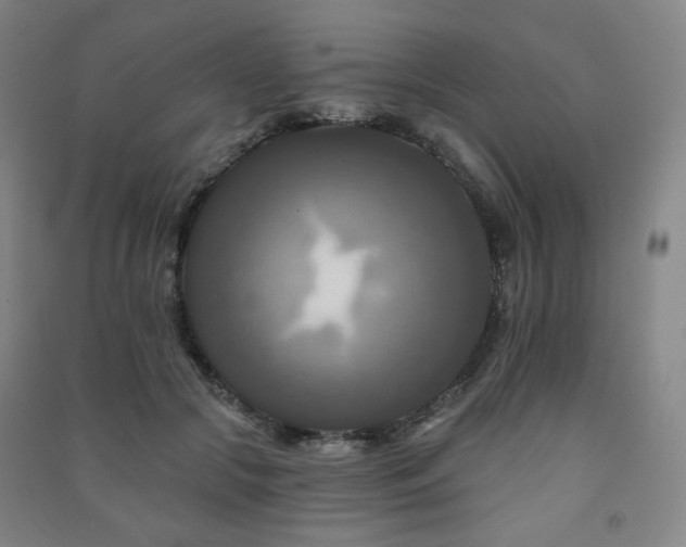 X0000091460553200708161524