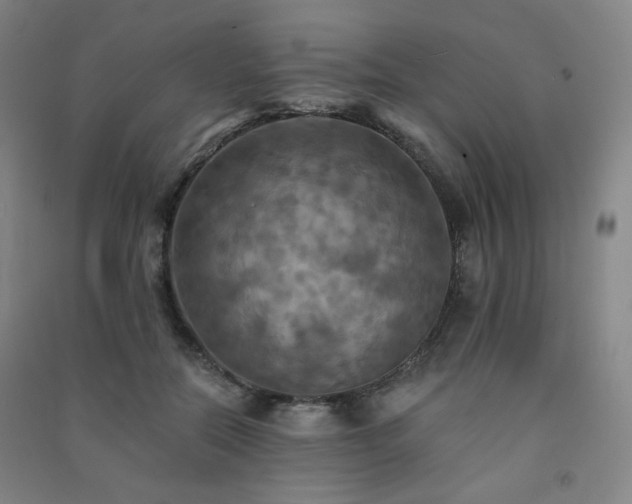 X0000091460554200708161524