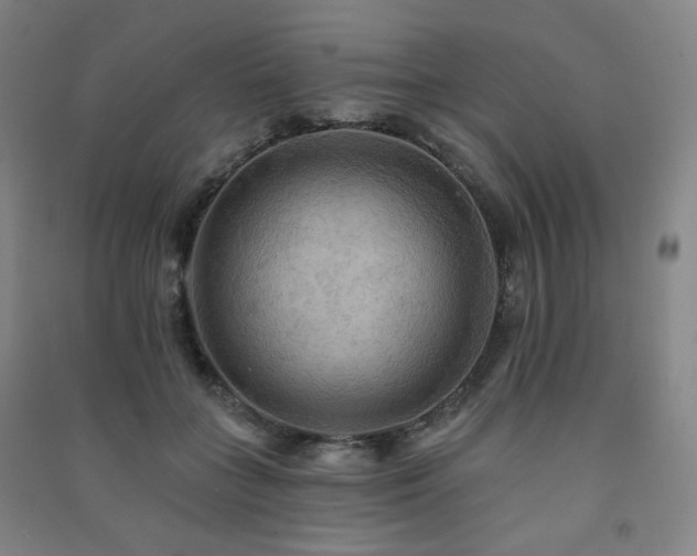 X0000091460555200708161524