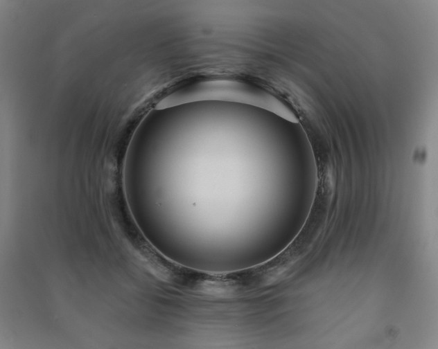 X0000091460556200708161524