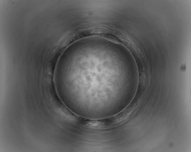 X0000091460557200708161524