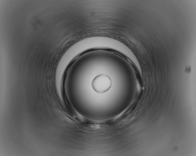 X0000091460558200708161524