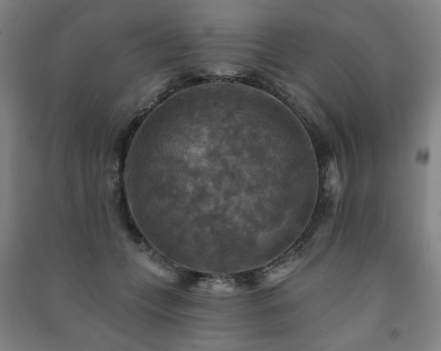 X0000091460559200708161524