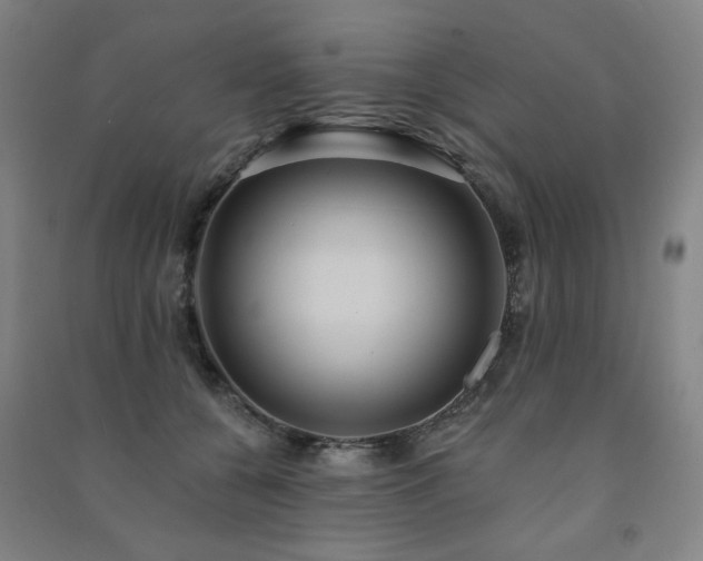 X0000091460560200708161524
