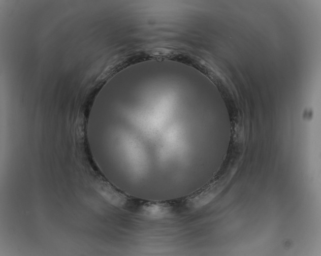 X0000091460561200708161524
