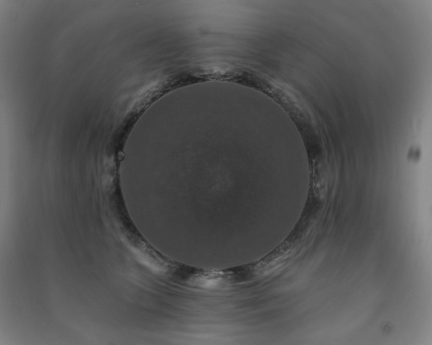 X0000091460563200708161524