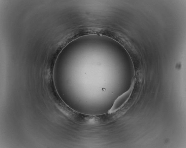 X0000091460564200708161524