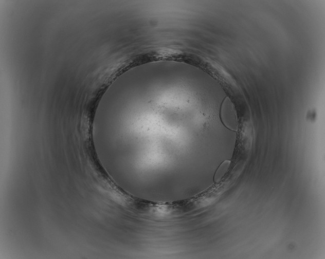X0000091460565200708161524